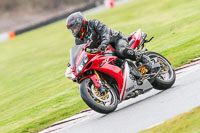 Oulton-Park-14th-March-2020;PJ-Motorsport-Photography-2020;anglesey;brands-hatch;cadwell-park;croft;donington-park;enduro-digital-images;event-digital-images;eventdigitalimages;mallory;no-limits;oulton-park;peter-wileman-photography;racing-digital-images;silverstone;snetterton;trackday-digital-images;trackday-photos;vmcc-banbury-run;welsh-2-day-enduro